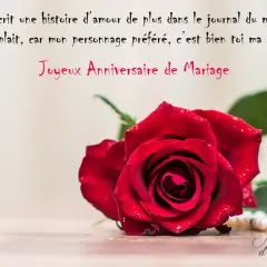 Une rose rouge et des perles pour souhaiter un anniversaire de mariage. L'amour est le plus beau des romans.