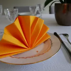Pliage de serviette en papier 2 couleurs eventail sur une assiette, prêt pour un repas festif.