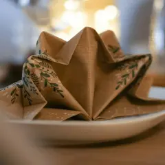 Une serviette en papier marron avec des motifs végétaux verts est pliée en forme d'étoile sur une assiette blanche. Ce pliage serviette triangle ajoute une touche festive.