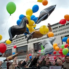 Un lâcher de ballons colorés et gonflables en forme de chevaux s'envole devant un bâtiment imposant.