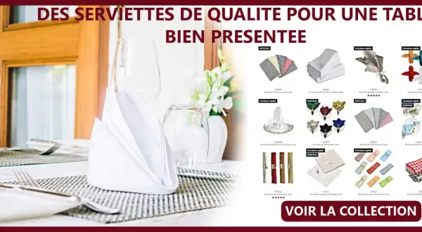 Serviettes de table de différentes tailles et styles, pour une table bien présentée.