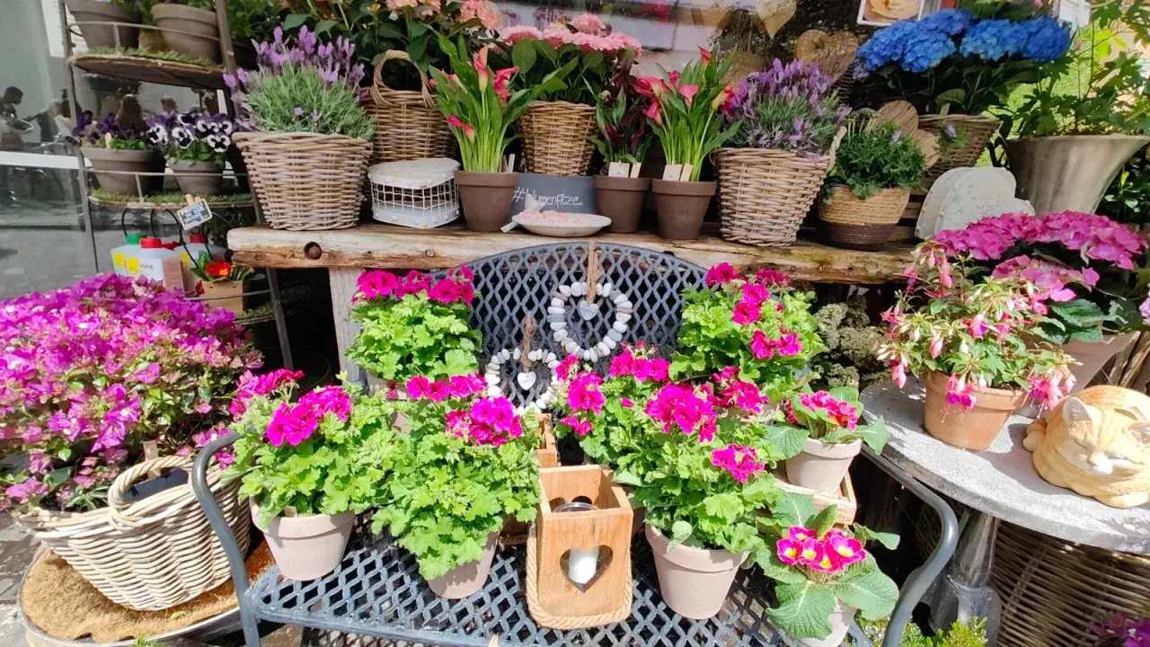 Ambiance bucolique : un étalage de fleurs colorées, des paniers en osier et une statue de chat endormi créent un décor champêtre charmant.
