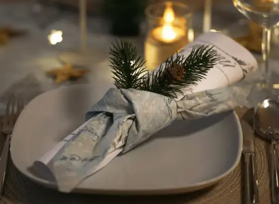 Pliage serviette smoking - Le guide pour une table élégante