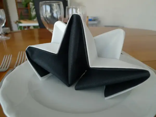 Pliage serviette accordéon 2 couleurs, noir et blanc, formant une étoile sur une assiette blanche.